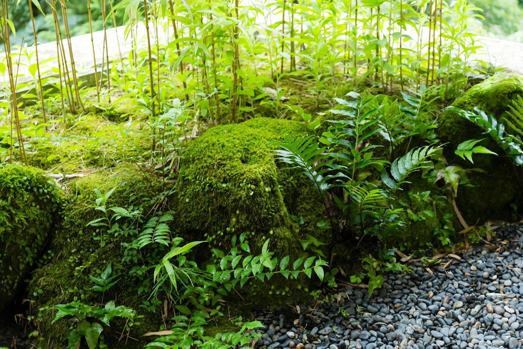 Hakone Yumoto Onsen Hotel Kajikaso Ngoại thất bức ảnh